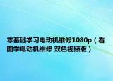 零基础学习电动机维修1080p（看图学电动机维修 双色视频版）