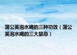 蒲公英泡水喝的三种功效（蒲公英泡水喝的三大禁忌）
