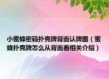 小蜜蜂密码扑克牌背面认牌图（蜜蜂扑克牌怎么从背面看相关介绍）