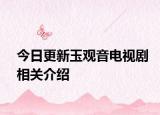 今日更新玉观音电视剧相关介绍