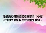 你是我心甘情愿的遗憾歌词（心有不甘你负情负我恩歌词相关介绍）