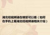 湖北经视频道在哪里可以看（如何在手机上看湖北经视频道相关介绍）