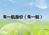 朱一航身价（朱一航）
