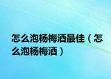 怎么泡杨梅酒最佳（怎么泡杨梅酒）