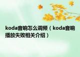 koda音响怎么调频（koda音响播放失败相关介绍）