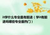 it学什么专业最有前途（学it有前途吗哪些专业最热门）