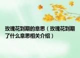 玫瑰花到期的意思（玫瑰花到期了什么意思相关介绍）