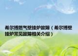 希尔博燃气壁挂炉故障（希尔博壁挂炉常见故障相关介绍）