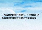 广西农村信用社合作银行（广西壮族自治区农村信用社联合社 地方性金融机构）