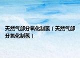 天然气部分氧化制氢（天然气部分氧化制氢）