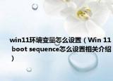 win11环境变量怎么设置（Win 11 boot sequence怎么设置相关介绍）