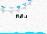 尿道口
