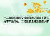 十二经脉的循行交接规律速记指南（怎么样牢牢地记住十二经脉的全称及交接次序）