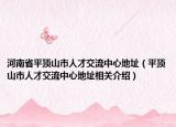 河南省平顶山市人才交流中心地址（平顶山市人才交流中心地址相关介绍）