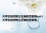 大学生如何树立正确的恋爱观ppt（大学生如何树立正确的恋爱观）