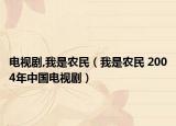 电视剧,我是农民（我是农民 2004年中国电视剧）