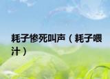 耗子惨死叫声（耗子喂汁）