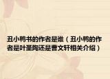 丑小鸭书的作者是谁（丑小鸭的作者是叶圣陶还是曹文轩相关介绍）