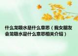 什么龙吸水是什么意思（我女朋友会龙吸水是什么意思相关介绍）