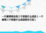 一只蜜蜂旁边有三个梨是什么成语（一个蜜蜂三个梨是什么成语相关介绍）