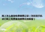 网上怎么查询电费缴费记录（怎样用手机进行网上电费查询缴费在线客服）