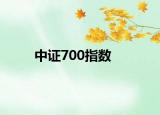 中证700指数