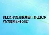 身上长小红点的原因（身上长小红点是因为什么呢）