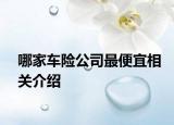 哪家车险公司最便宜相关介绍