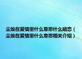 尘埃在爱情里什么意思什么暗恋（尘埃在爱情里什么意思相关介绍）