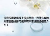 抖音投屏到电视上没有声音（为什么我的抖音直播投影电视只有声音没图像相关介绍）