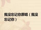 我没忘记你原唱（我没忘记你）