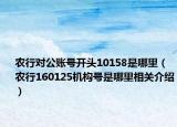 农行对公账号开头10158是哪里（农行160125机构号是哪里相关介绍）