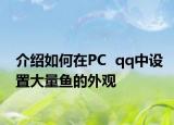 介绍如何在PC  qq中设置大量鱼的外观