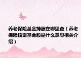 养老保险基金持股在哪里查（养老保险核定基金股是什么意思相关介绍）