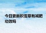 今日更新积雪草有减肥功效吗