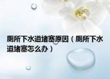 厕所下水道堵塞原因（厕所下水道堵塞怎么办）