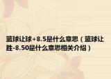 篮球让球+8.5是什么意思（篮球让胜-8.50是什么意思相关介绍）