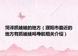 菏泽抓娃娃的地方（濮阳市最近的地方有抓娃娃吗导航相关介绍）