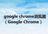 google chrome浏览器（Google Chrome）