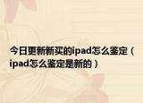 今日更新新买的ipad怎么鉴定（ipad怎么鉴定是新的）