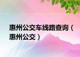 惠州公交车线路查询（惠州公交）