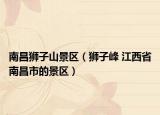 南昌狮子山景区（狮子峰 江西省南昌市的景区）