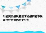 叶的离去是风的追求还是树的不挽留是什么意思相关介绍