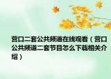 营口二套公共频道在线观看（营口公共频道二套节目怎么下载相关介绍）