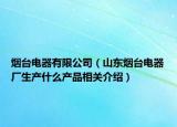 烟台电器有限公司（山东烟台电器厂生产什么产品相关介绍）