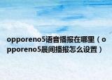 opporeno5语音播报在哪里（opporeno5晨间播报怎么设置）