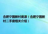 合肥宁国新村房源（合肥宁国新村二手房相关介绍）