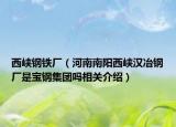 西峡钢铁厂（河南南阳西峡汉冶钢厂是宝钢集团吗相关介绍）