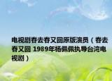 电视剧春去春又回原版演员（春去春又回 1989年杨佩佩执导台湾电视剧）