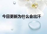 今日更新为什么会出汗